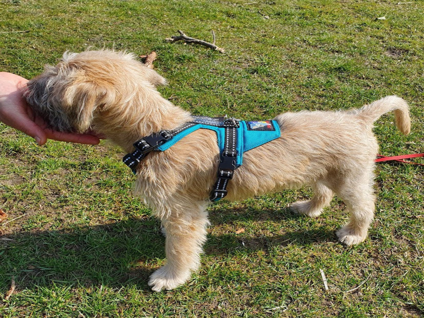 Happy Dog Geschirr Mini < 10kg